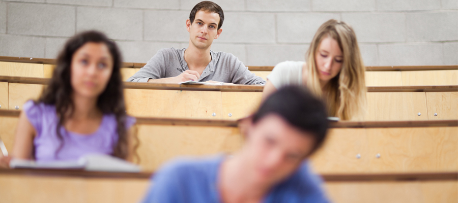 enseignement supérieur