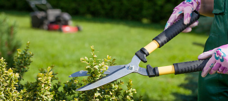 Prestataire spécialisé dans l'entretien de jardins