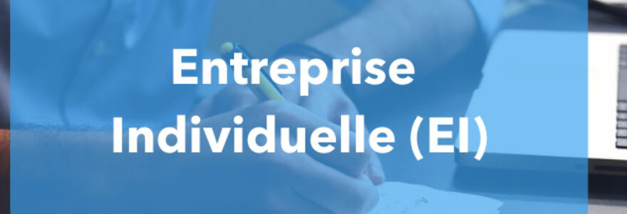 entreprise individuelle